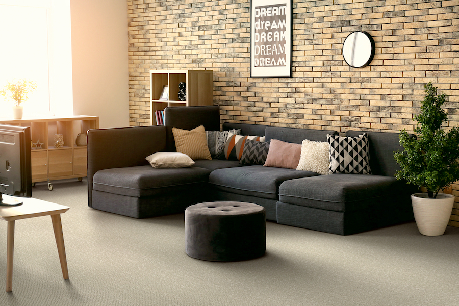 carpet in a Woodstock living room